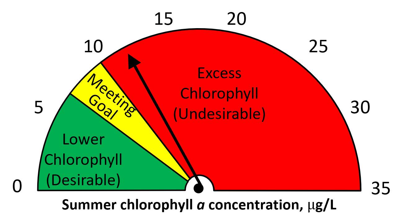 Summer 2023 chlorophyll a = 12 ug/L